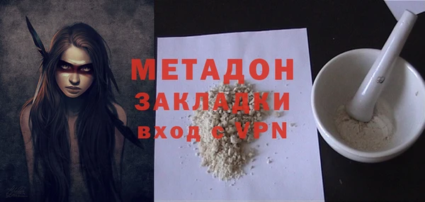 крисы Корсаков
