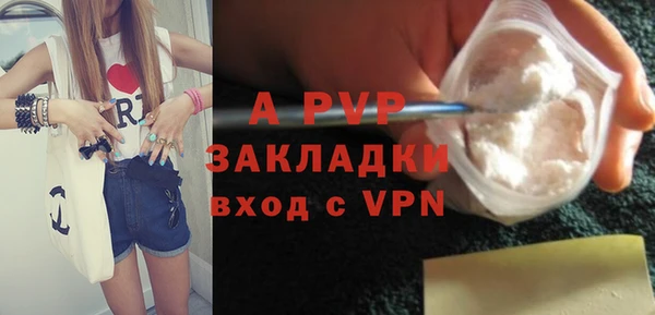 крисы Корсаков