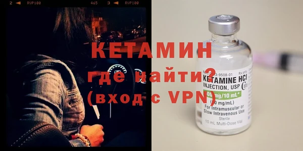 крисы Корсаков