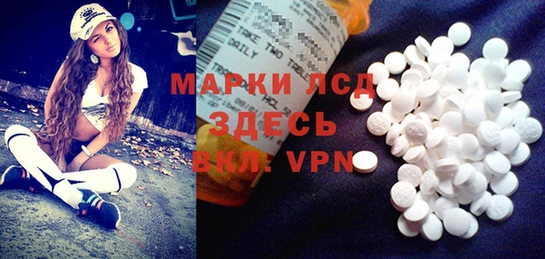 крисы Корсаков