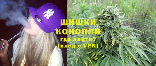 крисы Корсаков