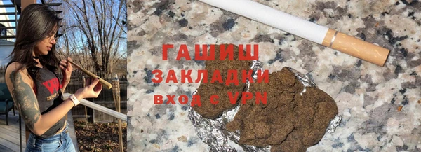 крисы Корсаков