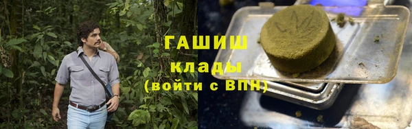 крисы Корсаков