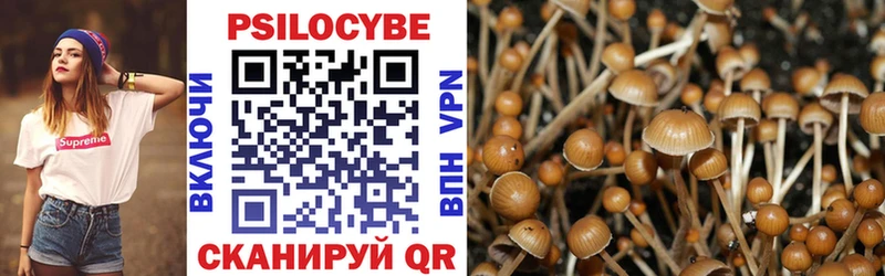 Псилоцибиновые грибы Cubensis  Кушва 